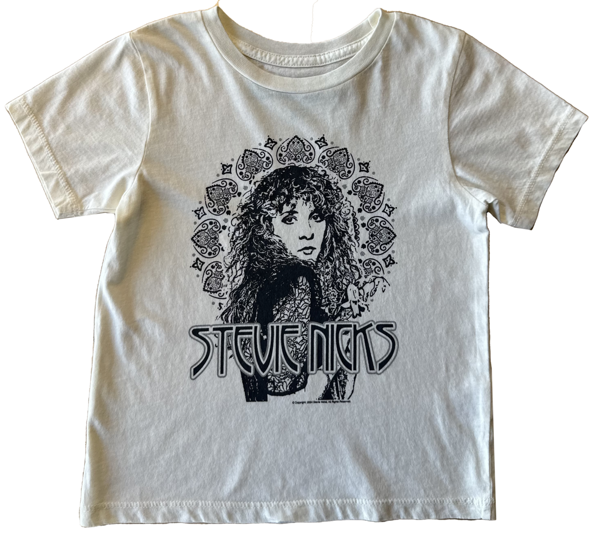 Camiseta orgánica Stevie Nicks 