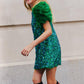 Girls Sequin & Feather Party Dress